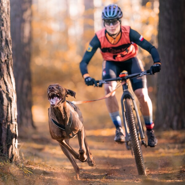 Trening Indywidualny 1:1: Nauka w Praktyce